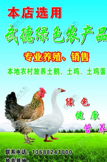 绿色农产品养殖海报