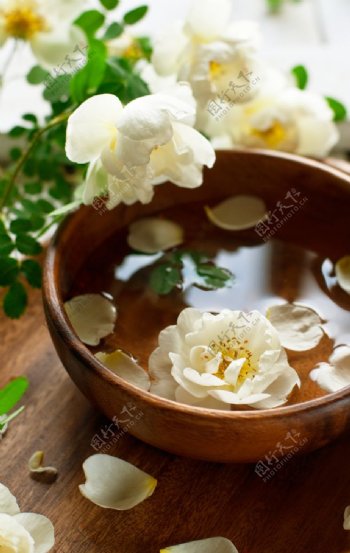 落在木碗里的白色花瓣