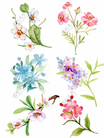 小清新水彩手绘各类花草植物元素合集
