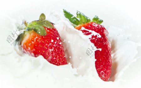 牛奶浸泡的草莓