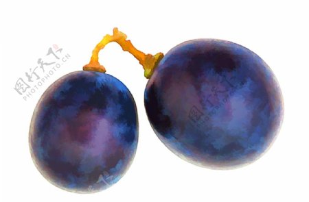 葡萄粒艺术效果二颗紫