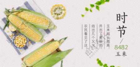 玉米杂粮banner