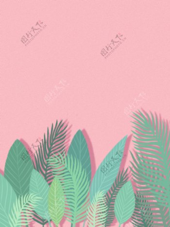 纯手绘原创小清新植物花卉叶子粉色背景