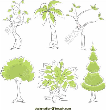 6款手绘绿色树木矢量素材