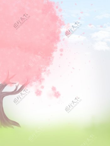 浪漫樱花树日本樱花花瓣飘落唯美