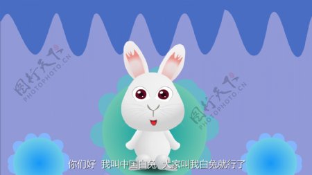 品种兔子漫画宣传动画