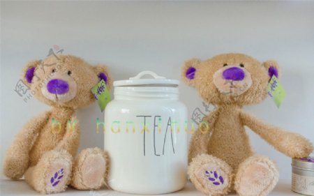 毛绒玩具和白色茶罐