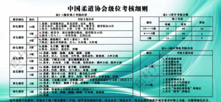 中国柔道协会级位考核细则