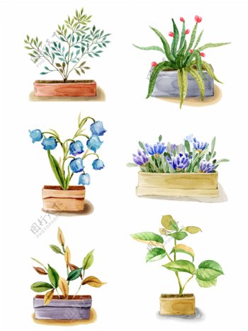 水彩手绘盆栽植物花卉叶子套图元素