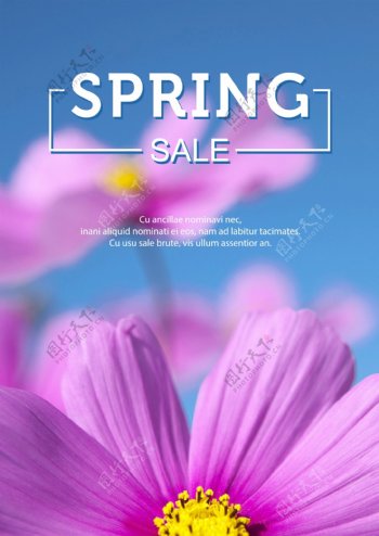 粉色花创意春季促销海报