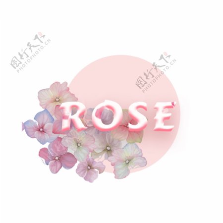 美丽的花和粉红色圆圈图案与玫瑰字体