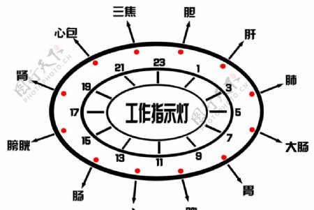 场导共振仪经络图