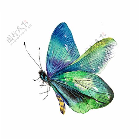 飞舞的彩色蝴蝶设计元素