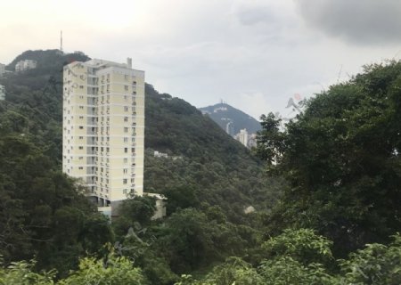 香港太平山风景