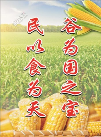 粮食玉米海报玉米田