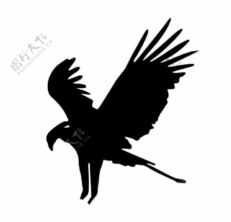 矢量老鹰鸟类剪影黑色图案标志