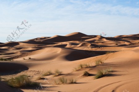 干旱沙漠沙丘