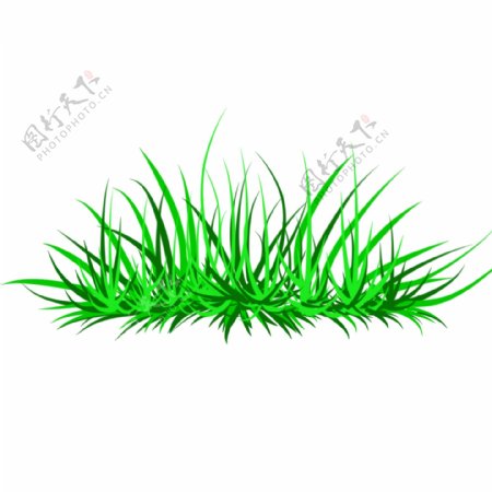 春天绿色小清新植物绿色的草丛