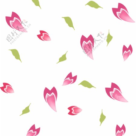 漂亮的樱花花瓣插画