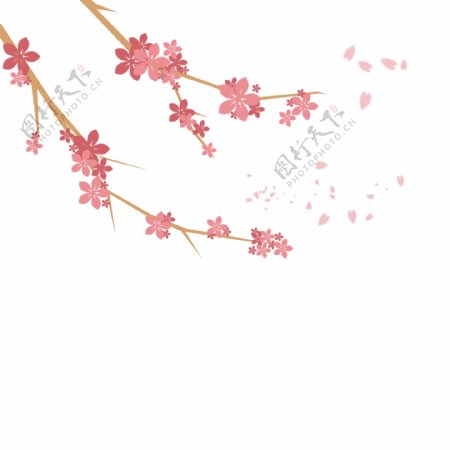 粉色花朵树枝花瓣飘落