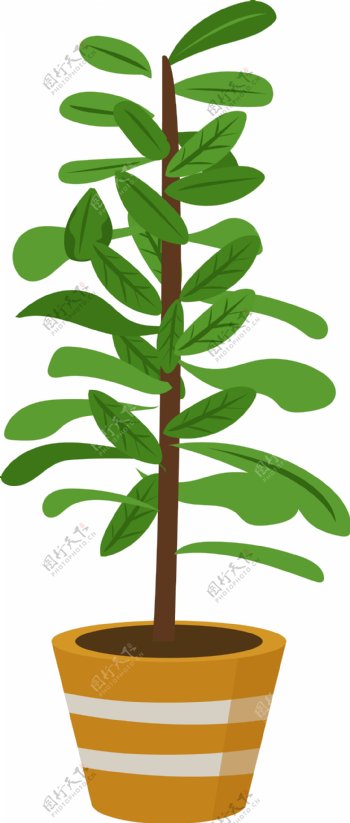 立体绿色植物插图