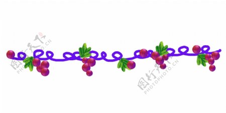 紫色葡萄分割线插画