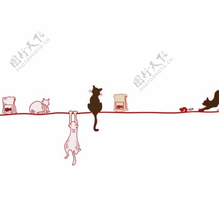 猫咪分割线手绘插画