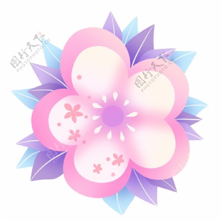 粉色的花朵便签插画
