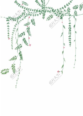 绿色的花藤装饰插画
