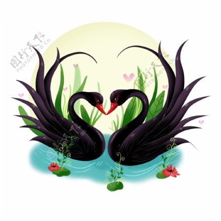 黑色情人节手绘黑色天鹅装饰素材动物浪漫