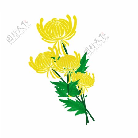 黄色的菊花花枝设计元素