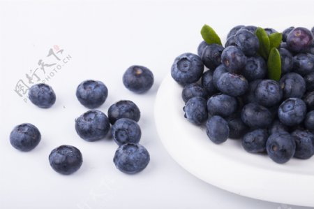 新鲜蓝莓实物图摄影图