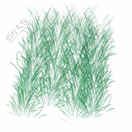 春天草地用于春天草地的装饰