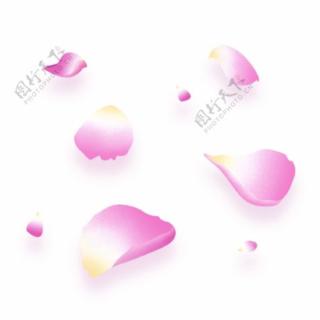 花瓣漂浮飘落粉色手绘