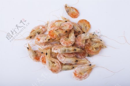 新鲜河虾实物图摄影图1