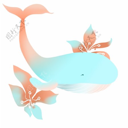 粉色游动的鲸鱼插画