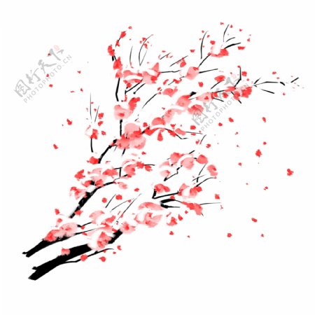 中国风手绘白梅花枝