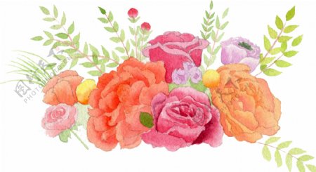水彩花朵装饰图案小清新彩鲜花手绘