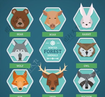 8款创意森林动物头像