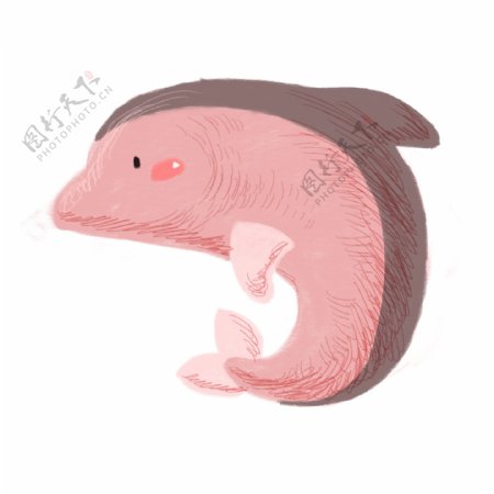 手绘的粉色海豚素材