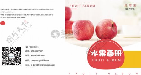 现代简约苹果水果画册封面
