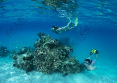 热带海岛浮潜