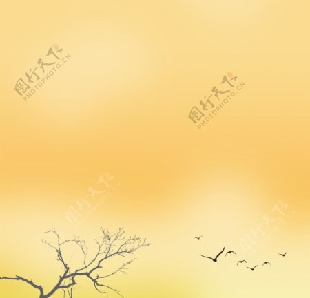 黄色树天空黄昏大雁