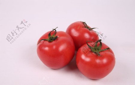 蔬菜西红柿
