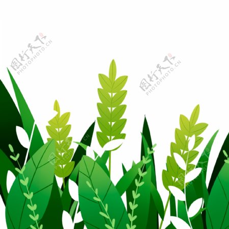 绿色植物草丛插画