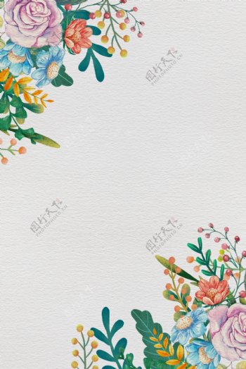 简约素雅彩绘花卉边框矢量背景