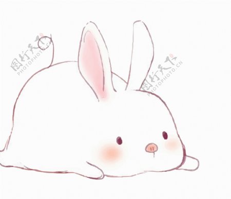 原创手绘一只肥肥的大兔子
