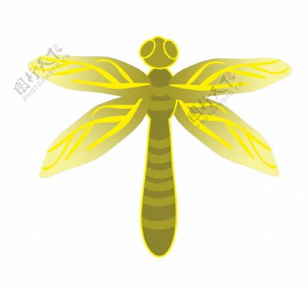 黄色蜻蜓昆虫