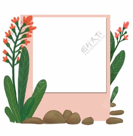 植物红花边框插画