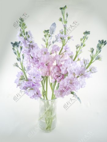 花瓶里的鲜花高清图片1